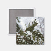 Schnee auf Evergreen Branchen Magnet (Vorderseite/Rückseite)