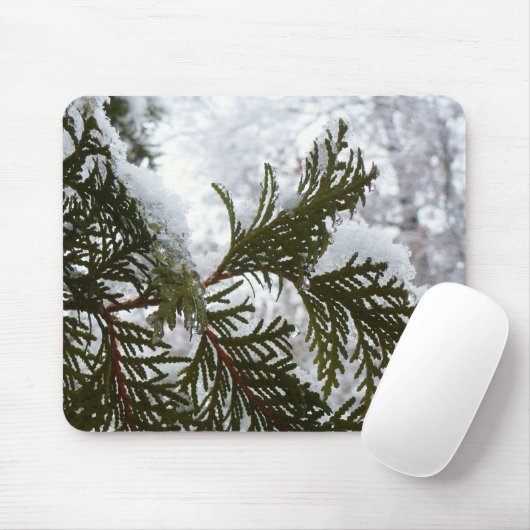 Schnee auf Evergreen Branchen Mousepad (Mit Mouse)