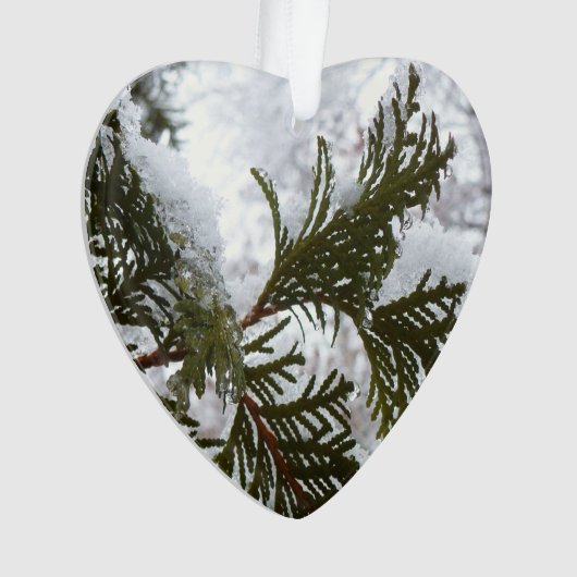Schnee auf Evergreen Branchen Ornament (Vorderseite)