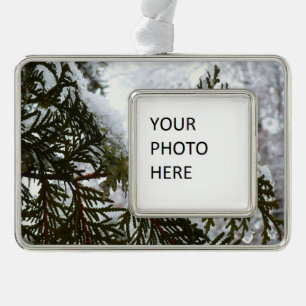 Schnee auf Evergreen Branchen Rahmen-Ornament Silber