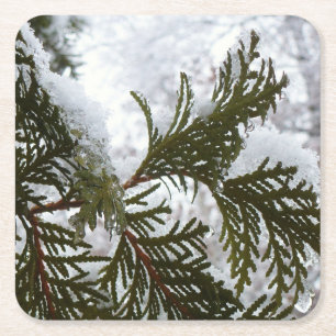 Schnee auf Evergreen Branchen Rechteckiger Pappuntersetzer