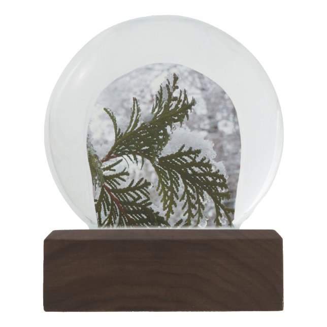 Schnee auf Evergreen Branchen Schneekugel (Vorderseite)