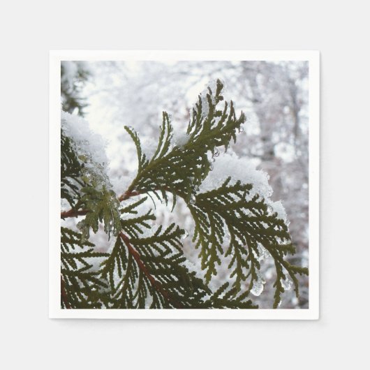Schnee auf Evergreen Branchen Serviette (Vorderseite)