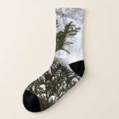 Schnee auf Evergreen Branchen Socken (Links - Außen)