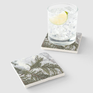 Schnee auf Evergreen Branchen Steinuntersetzer