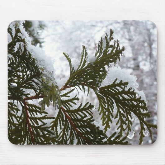 Schnee auf immergrünen Zweigen Mousepad (Vorne)