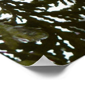 Schnee auf immergrünen Zweigen Poster (Ecke)