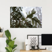Schnee auf immergrünen Zweigen Poster (Heimbüro)