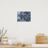 Schnee auf Kiefernnadeln Poster (Küche)