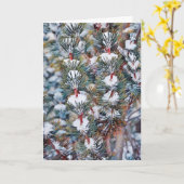 Schnee auf Pine Branches Art Weihnachtskarte Karte (Gelbe Blume)