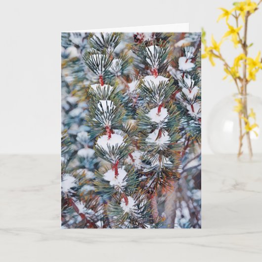 Schnee auf Pine Branches Art Weihnachtskarte Karte (Gelbe Blume)