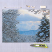 Schnee auf Pinien im Colorado Rocky Mountains Seidenpapier (Handwerk)