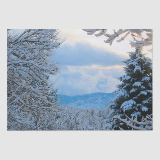 Schnee auf Pinien im Colorado Rocky Mountains Seidenpapier (Vorderseite)