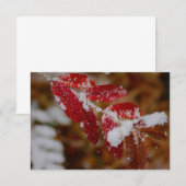 Schnee auf roten Blättern Mitteilungskarte (Vorne/Hinten)