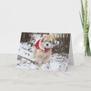 Schnee-Bart Feiertagskarte