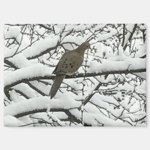 Schnee Baum Zweige Vogel (Fotografie von mir) Magnet