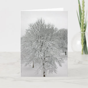 Schnee-Bäume Karte