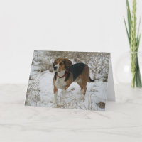 Schnee-Beagle-Winter-Gruß-Karte - Jagd-Jagdhund
