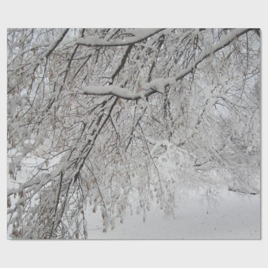 Schnee bedeckte Baum-Packpapier - USA Geschenkpapier (Flach)