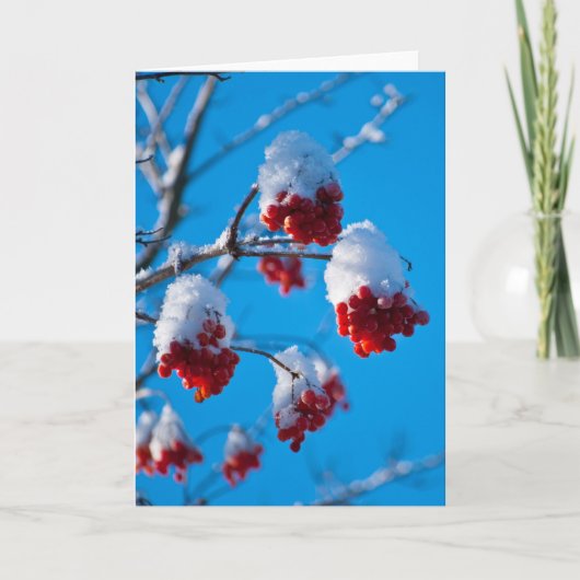 Schnee bedeckte Ebereschebeeren Karte (Vorderseite)