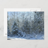 Schnee bedeckte Weihnachtsbaum Feiertagspostkarte (Vorne/Hinten)