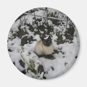 Schnee-Bilder, Schnee-Katze Magnet