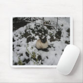 Schnee-Bilder, Schnee-Katze Mousepad (Mit Mouse)