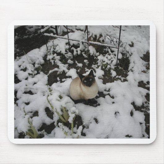 Schnee-Bilder, Schnee-Katze Mousepad (Vorne)