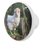 Schnee, das Ameraucana Hühnchen Gesichter rechts K Keramikknauf (Rechts)