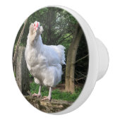Schnee der Ameraucana-Henne - Küchengriff ziehen Keramikknauf (Rechts)