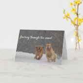 Schnee durch den Schnee Karte (Gelbe Blume)