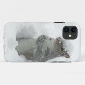 Schnee-Eichhörnchen iPhone 5 Fall Case-Mate iPhone Hülle (Rückseite (Horizontal))