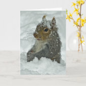 Schnee-Eichhörnchen Karte (Gelbe Blume)