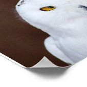 SCHNEE-EIGENE FOTOGRAFIE-POSTER POSTER (Ecke)