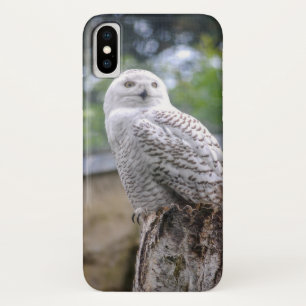 Schnee-Eule iPhone X Hülle