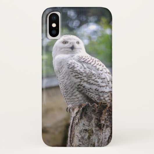Schnee-Eule Case-Mate iPhone Hülle (Rückseite)