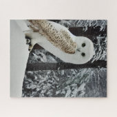 Schnee-Eule Puzzle (Horizontal)