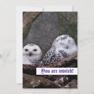 Schnee-Eulen-Paar-Wald-Wildlife-Kunst Einladung