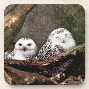Schnee-Eulen-Paar-Wald-Wildlife-Kunst Getränkeuntersetzer