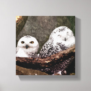Schnee-Eulen-Paar-Wald-Wildlife-Kunst Leinwanddruck