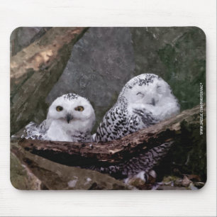 Schnee-Eulen-Paar-Wald-Wildtier-Kunst Mousepad
