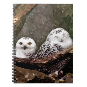 Schnee-Eulen-Paar-Wald-Wildtier-Kunst Notizblock