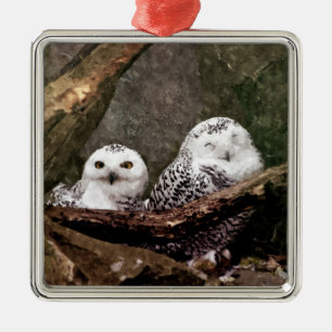 Schnee-Eulen-Paar-Wald-Wildtier-Kunst Ornament Aus Metall