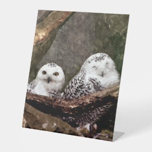 Schnee-Eulen-Paar-Wald-Wildtier-Kunst Sockelschild