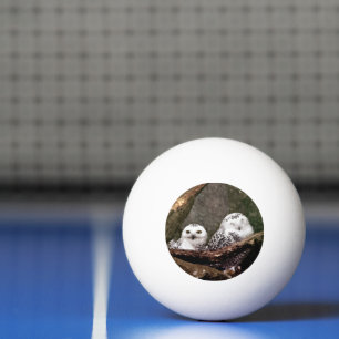 Schnee-Eulen-Paar-Wald-Wildtier-Kunst Tischtennisball