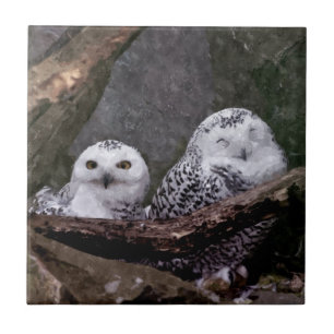 Schnee-Eulenpaar Wald-Wildtier-Kunst Fliese