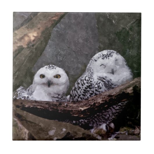 Schnee-Eulenpaar Wald-Wildtier-Kunst Fliese (Vorderseite)