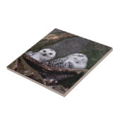 Schnee-Eulenpaar Wald-Wildtier-Kunst Fliese (Seite)