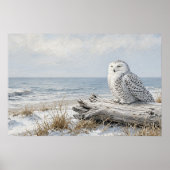 Schnee-Eulenposter Shore Rest Poster (Vorne)