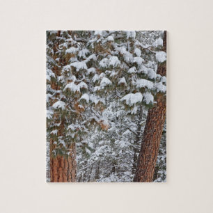 Schnee füllt die Äste der Ponderosa-Kiefern Puzzle